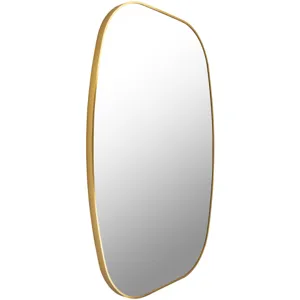 Aranya Mirror