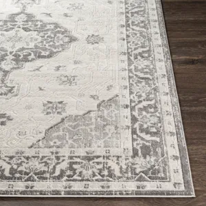 Remy 7'10" x 10' Rug