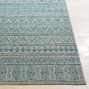 Eagean 2'7" x 12' Rug