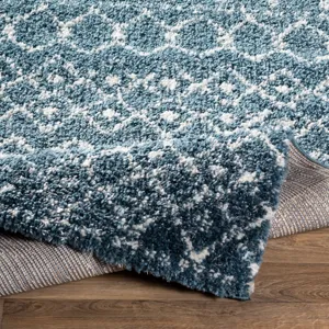 Maroc shag 2' x 3' Rug