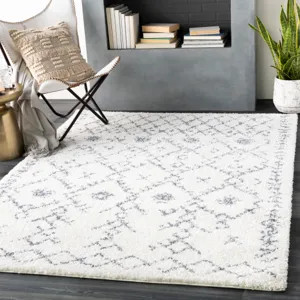 Maroc shag 2' x 3' Rug