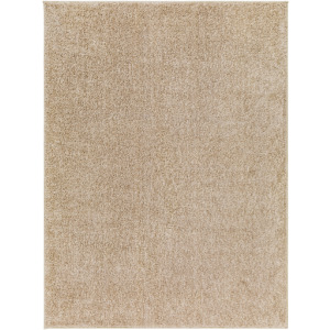 Alfombra Rug