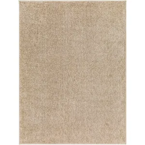 Alfombra 6'7" x 9' Rug