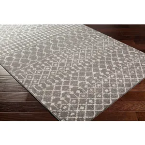 Chester 6'7" x 9' Rug