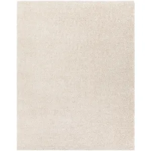 Deluxe shag Rug