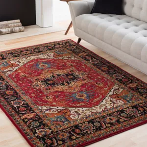 Serapi 6'7" x 9'6" Rug