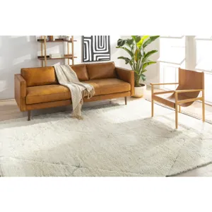 Sahara 8'10" x 12' Rug