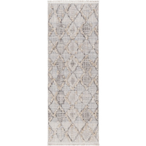 Zaragoza 2'7" x 7'3" Rug