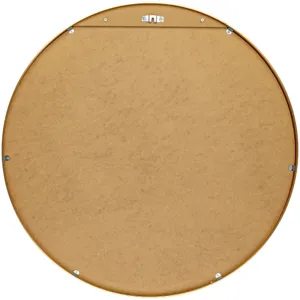 Aranya Mirror