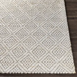 Trace 2'6" x 8' Rug