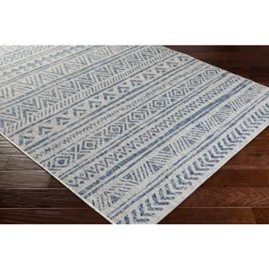 Eagean 8'10" x 12' Rug