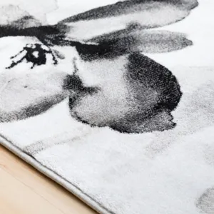 Nova 3'11" x 5'3" Rug