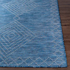 Pasadena 2'6" x 7'3" Rug