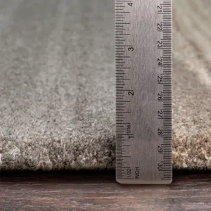 Forum 6' x 9' Kidney Rug