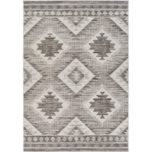 Rafetus Rug