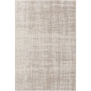 Santa Cruz 3'11" x 5'7" Rug