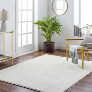 Alfombra 5'3" x 7' Rug