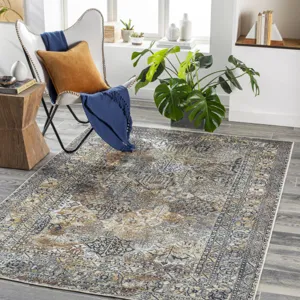 Tahmis 5'3" x 7'3" Rug