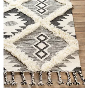 Apache 8' x 10' Rug
