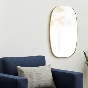 Aranya Mirror