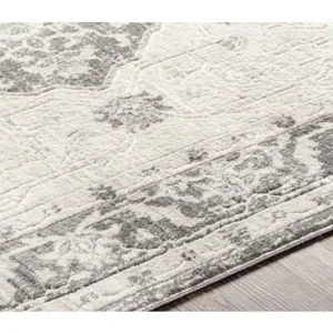 Remy 7'10" x 10' Rug