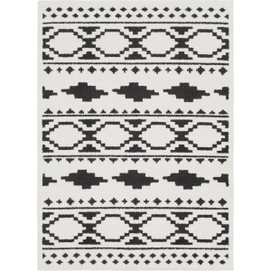 Moroccan Shag Rug