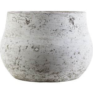 Rome Decorative Accent