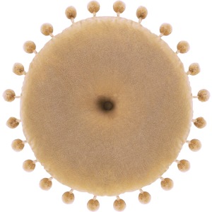 Serengeti Pillow Cover