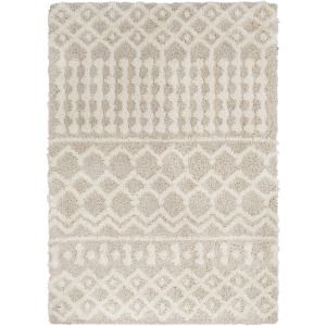 Urban Shag Rug