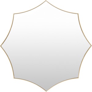 Virgo Mirror