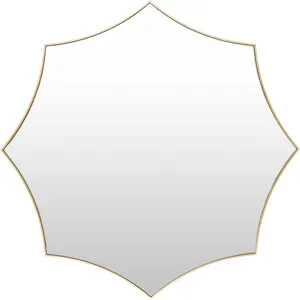 Virgo Mirror
