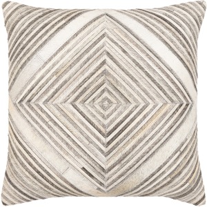 Zander Pillow Cover
