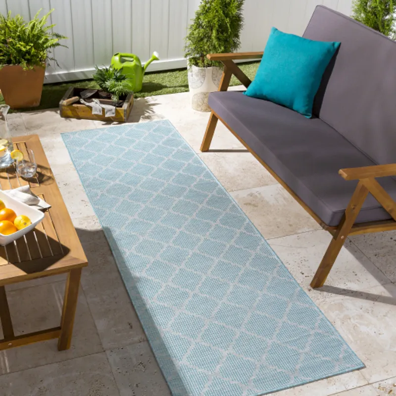 Pasadena 2'6" x 7'3" Rug