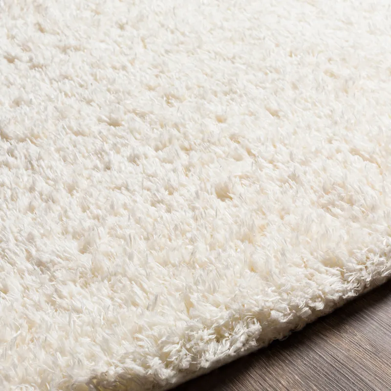 ang2304-texture.jpg
