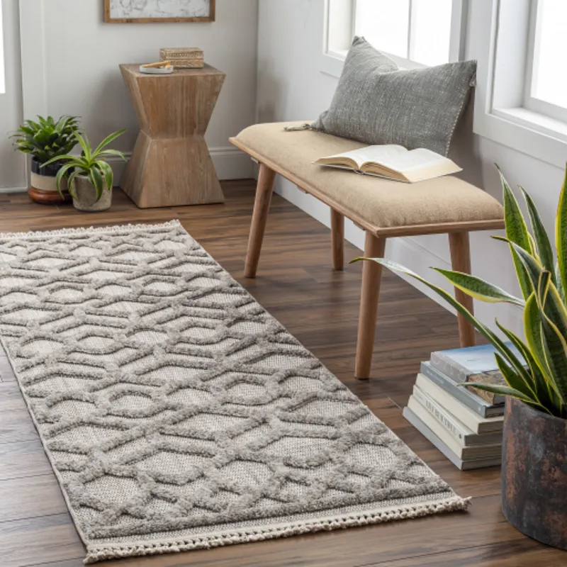 Zaragoza 2'7" x 7'3" Rug