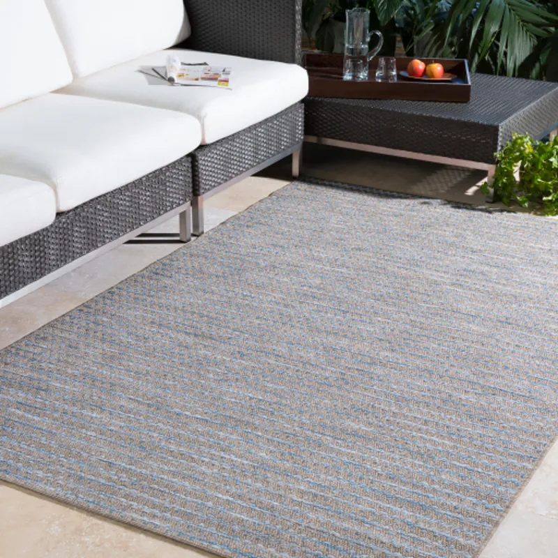 Santa Cruz 3'11" x 5'7" Rug