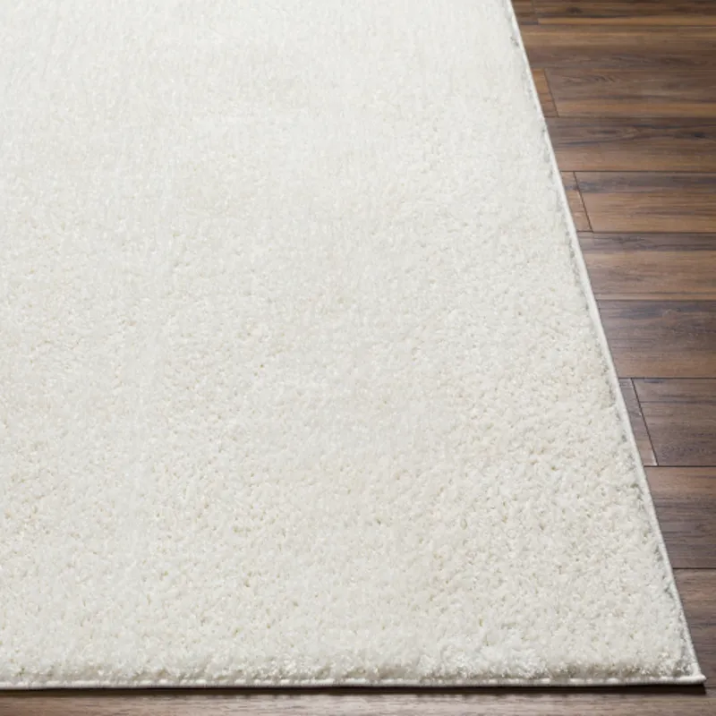 Alfombra 6'7" x 9' Rug
