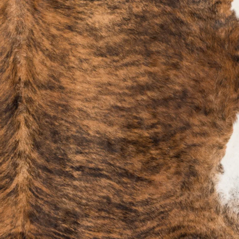 Duke 5' x 5' Rug