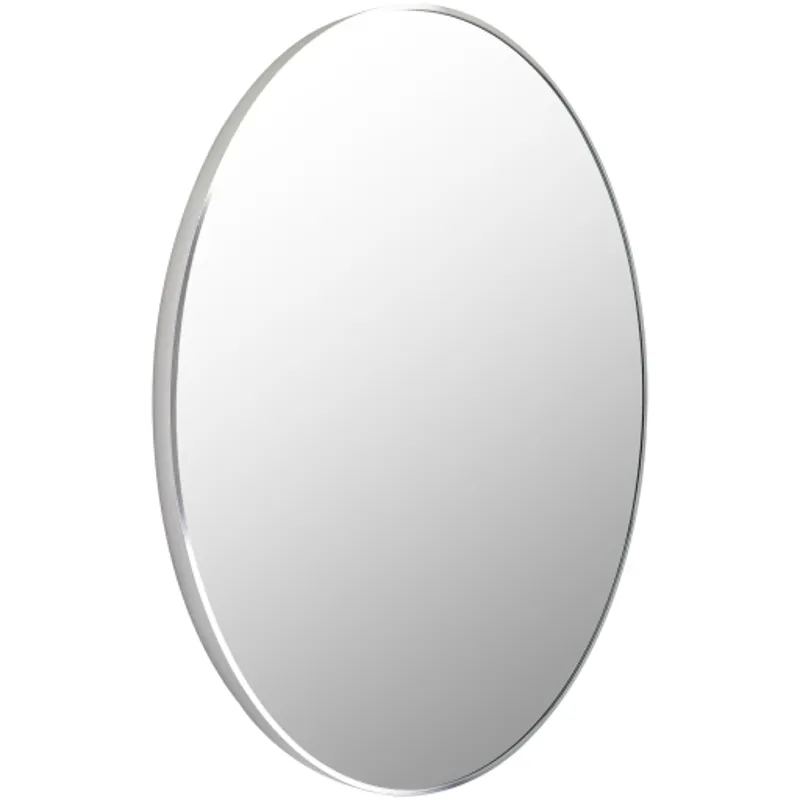 Aranya Mirror