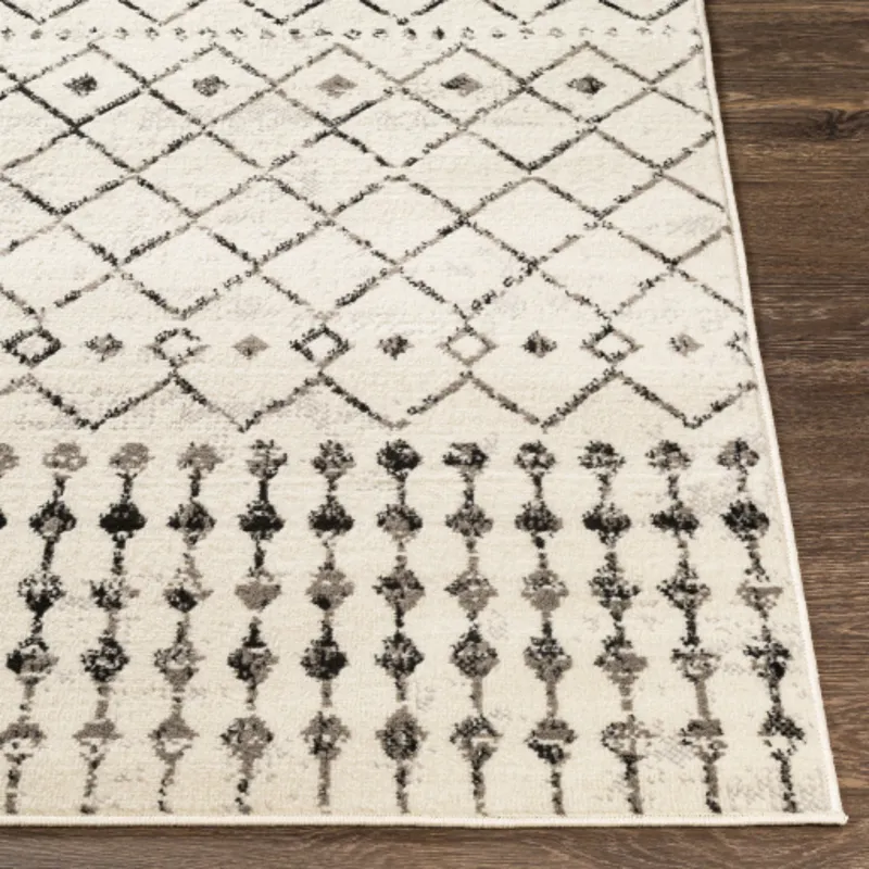 Pisa 2'7" x 7'3" Rug