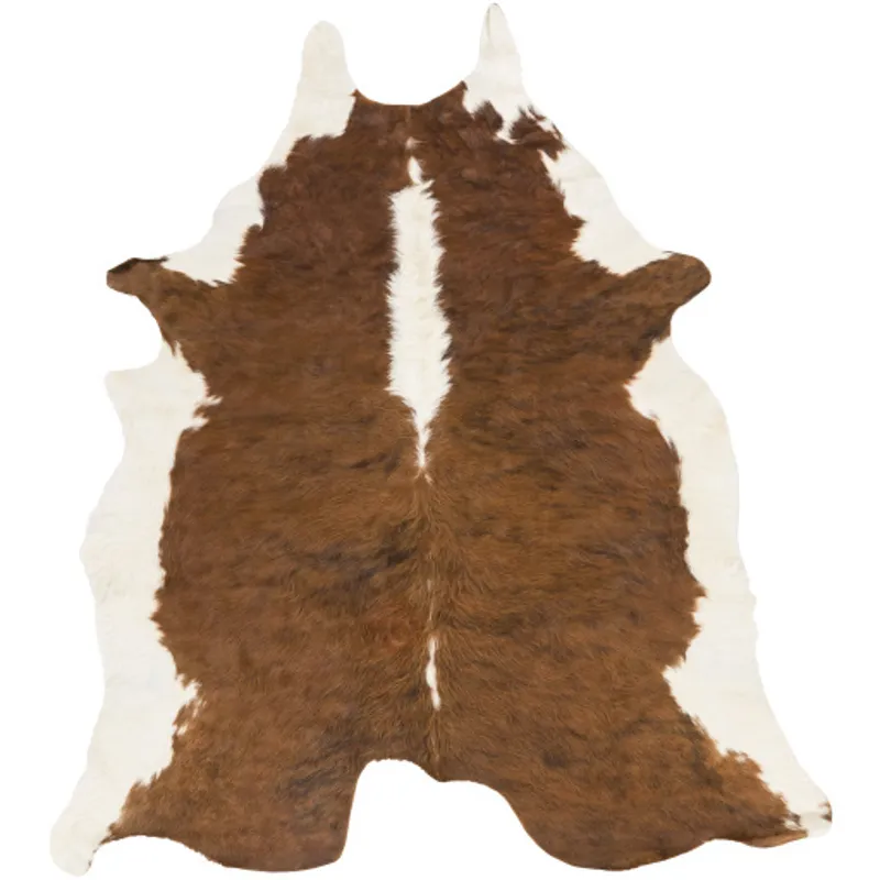 duk1001-7sq.jpg