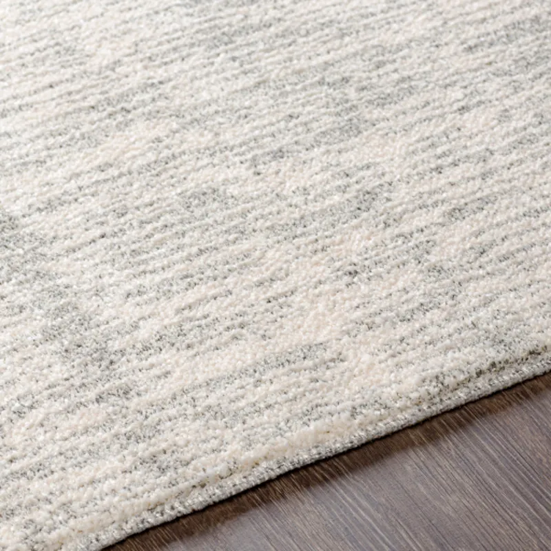 Gavic 5'3" x 7'3" Rug