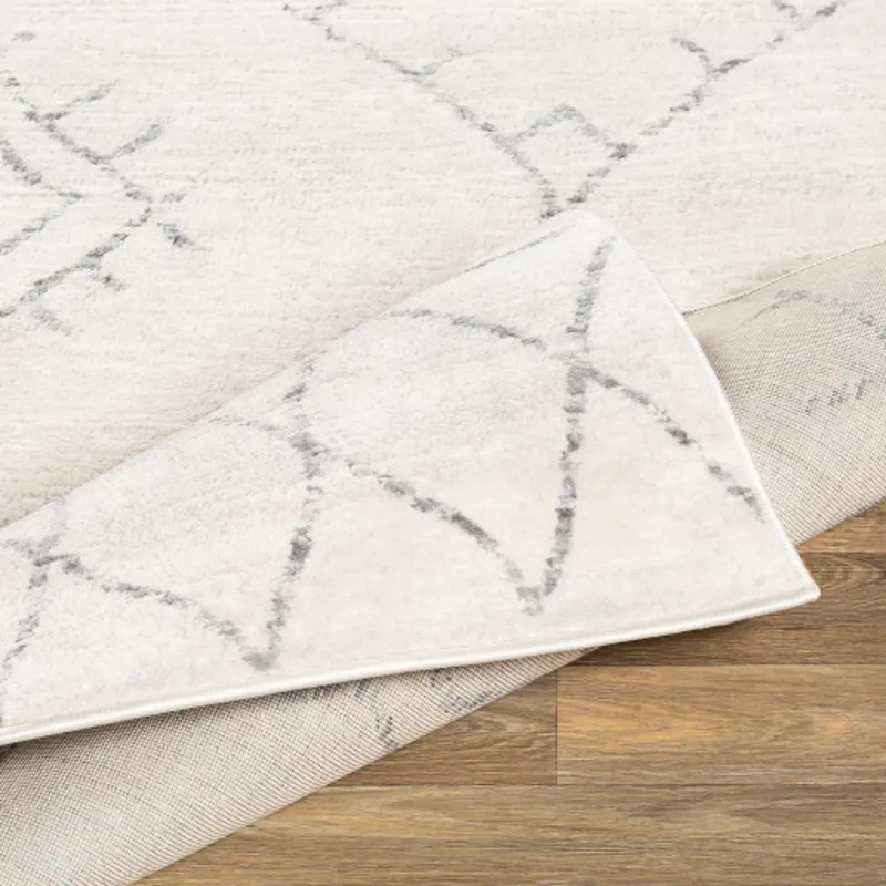 Roma 9' x 12'3" Rug