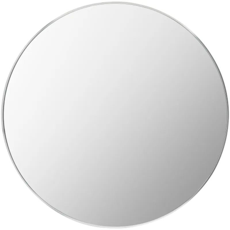 Aranya Mirror