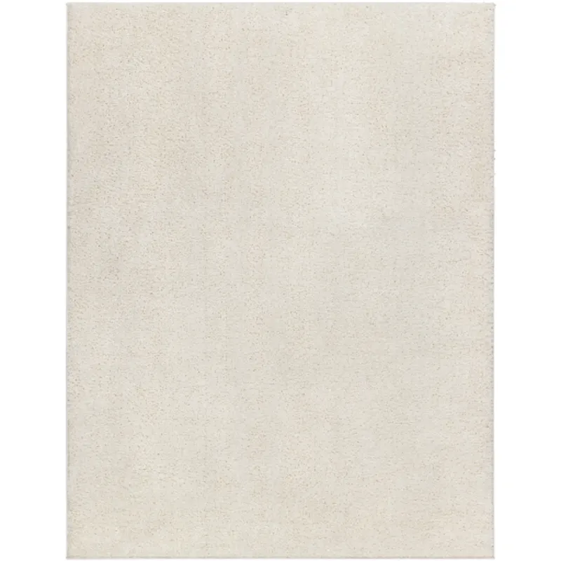 Alfombra 6'7" x 9' Rug