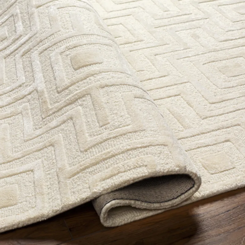 Addison 2' x 3' Rug