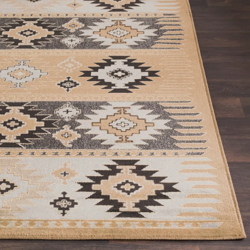 Paramount 8'10" x 12'10" Rug