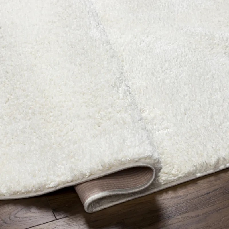 Alfombra 2'3" x 3'9" Rug