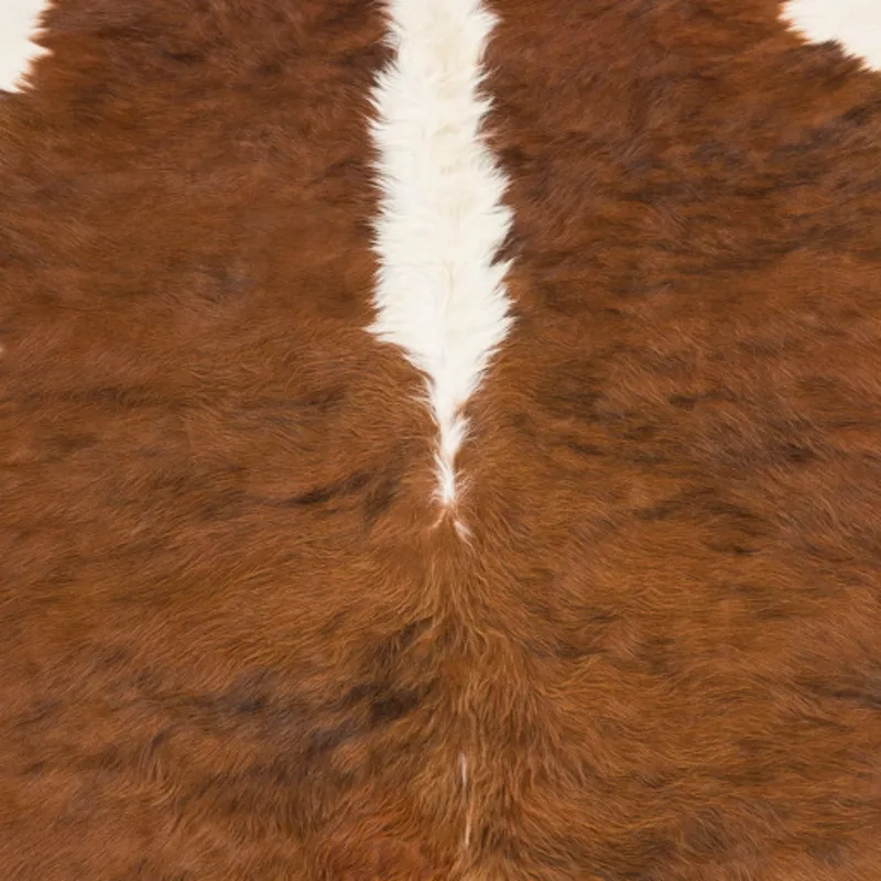 Duke 3' x 5' Rug