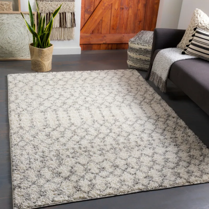 Taza shag 6'7" x 9' Rug
